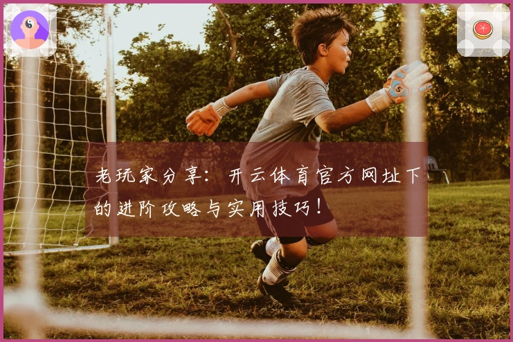 老玩家分享：开云体育官方网址下的进阶攻略与实用技巧！