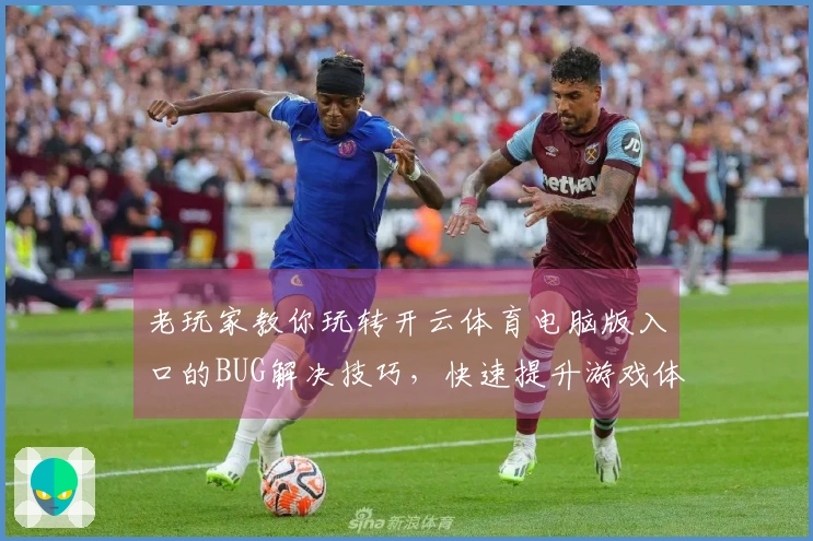 老玩家教你玩转开云体育电脑版入口的BUG解决技巧，快速提升游戏体验