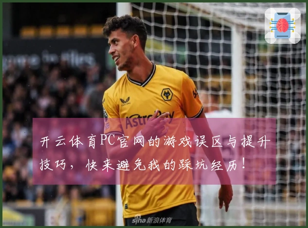 开云体育PC官网的游戏误区与提升技巧，快来避免我的踩坑经历！